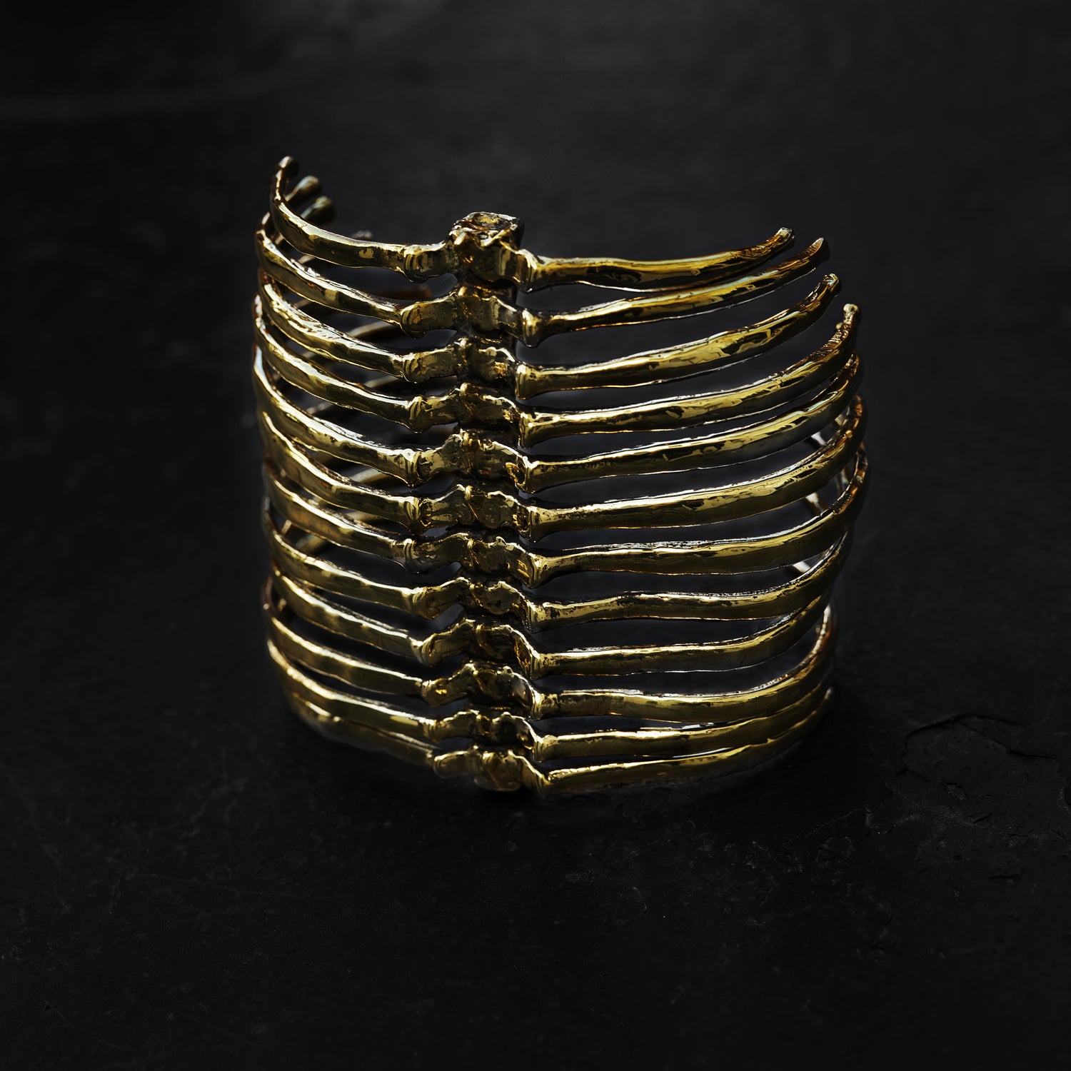 Vertebral-Column-Arm-Piece100_4