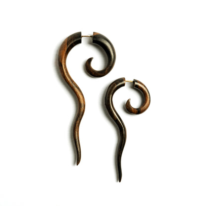 Wailuku spiralling wood earrings