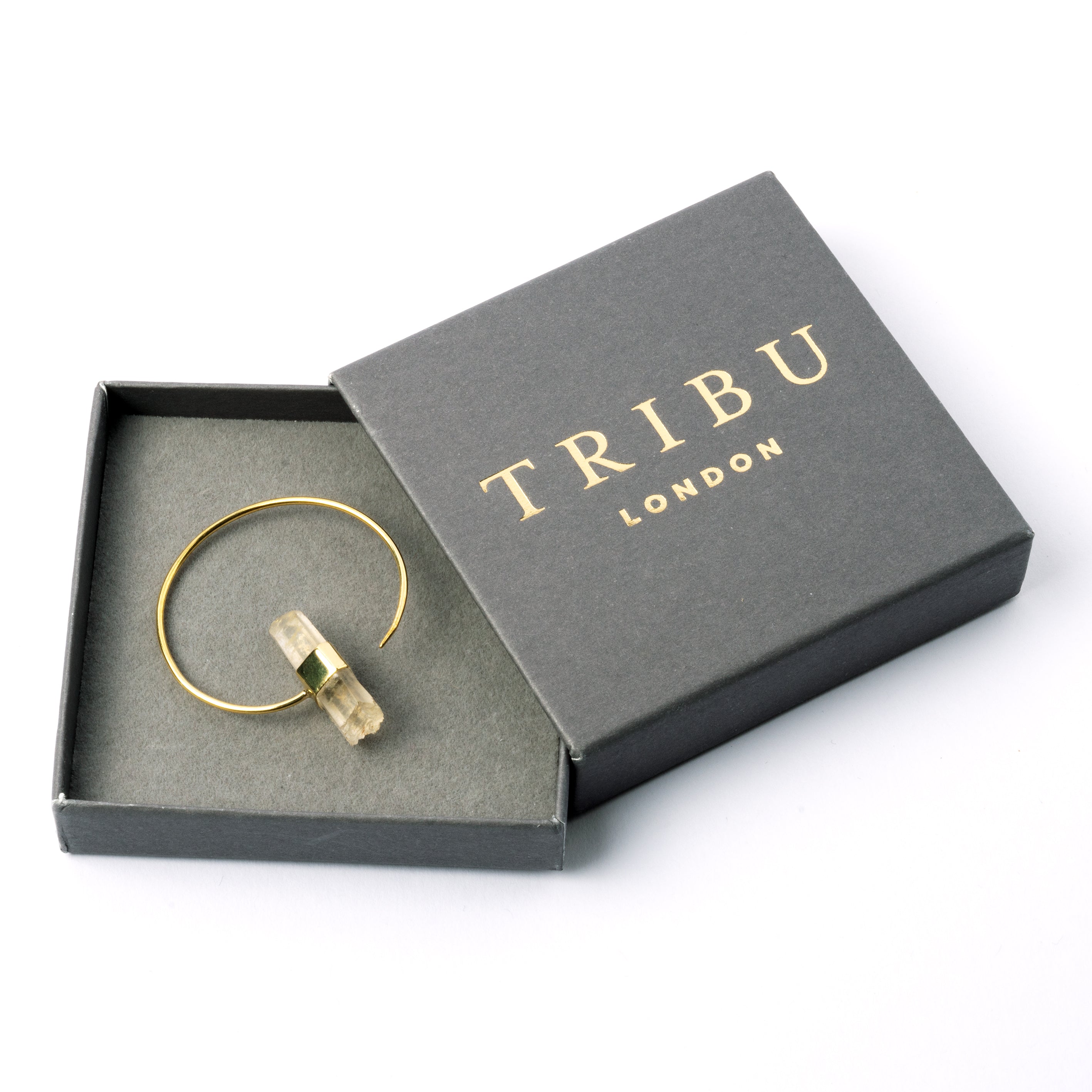 Zen Crystal Hoop Earring in a gift box