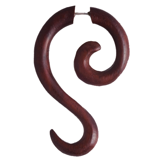 Tuhu Spiral Fake Gauge Earrings
