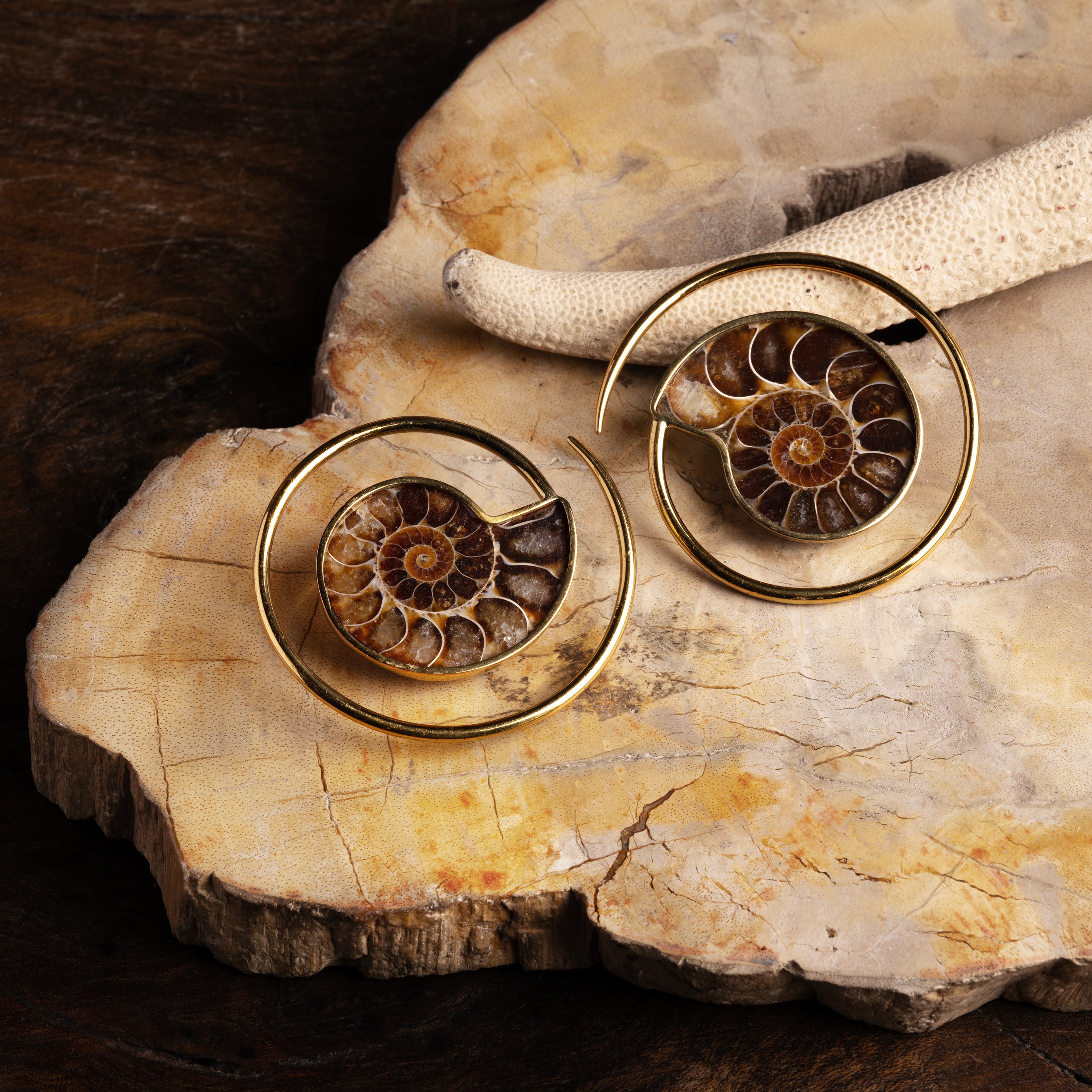pair of golden spirals ear weights hangers with Ammonite fossil frontal view on marble