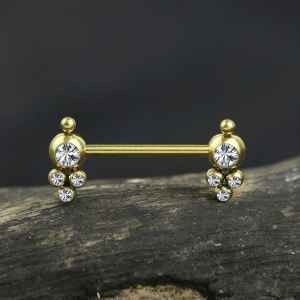 Rashmi Golden Nipple Bar