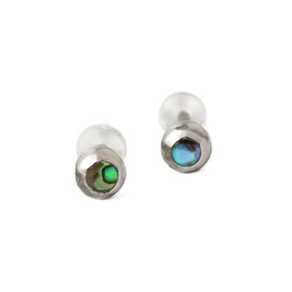 Abalone Ear Studs frontal view