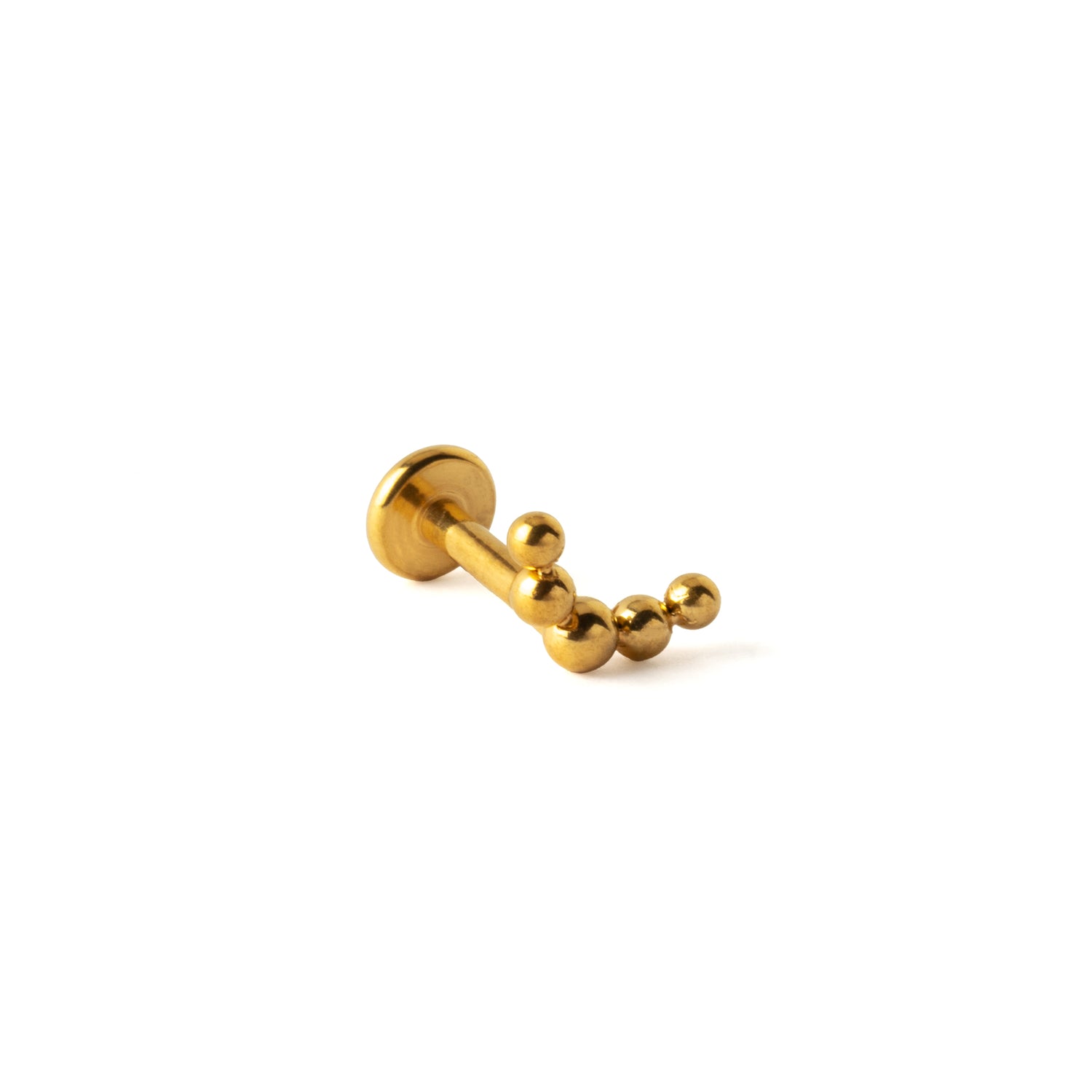 Almora Golden Labret right side view