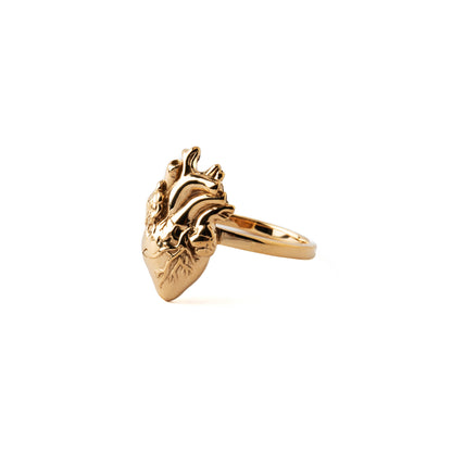 Anatomic Bronze Heart Ring right side view