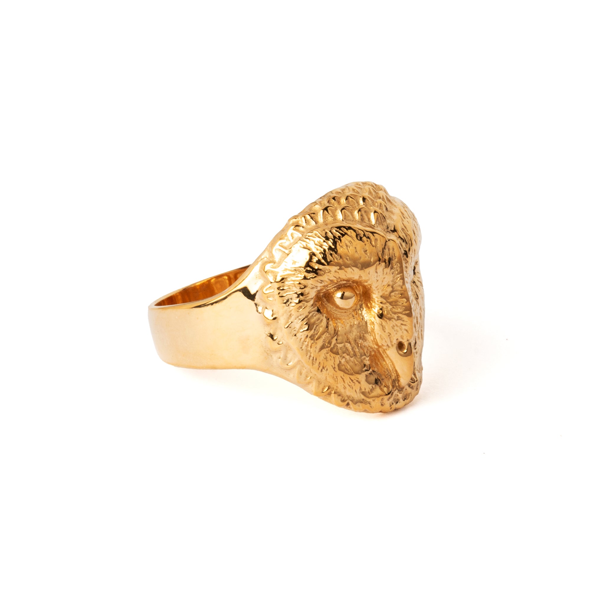 Barn Owl Ring