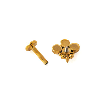 Brenna Golden Labret with Onyx internally threaded closure view