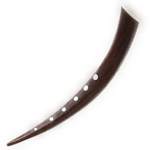 Camden Dotted Ear Stretchers