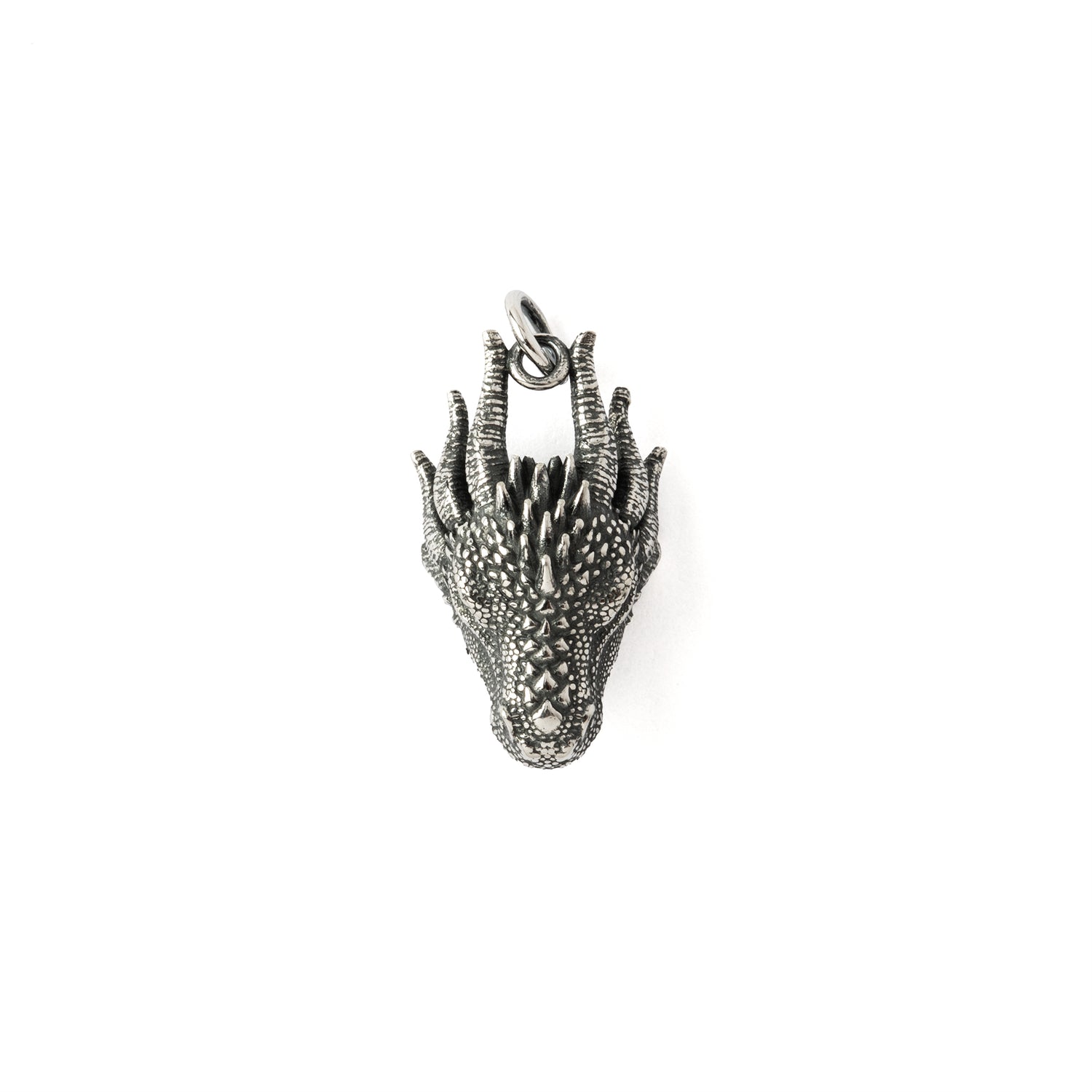 Dragon Head Silver Charm