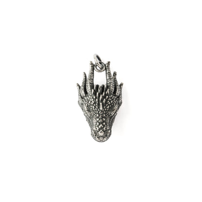 Dragon Head Silver Charm
