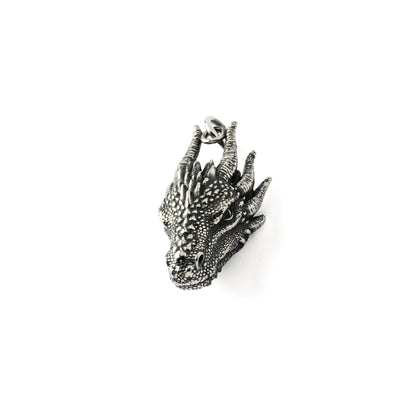Dragon Head Silver Charm