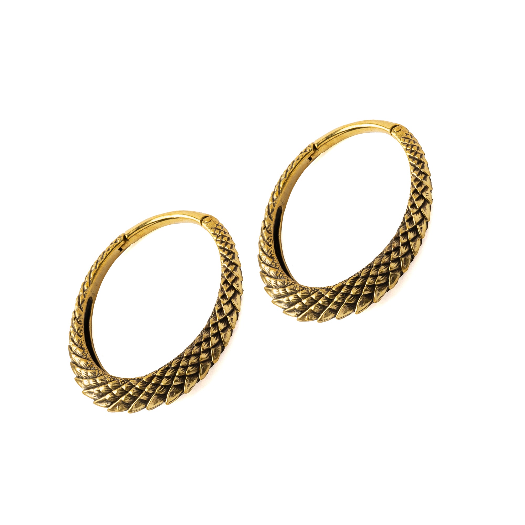 A pair of Dragon Scale Ear weights Clicker Ring right side view