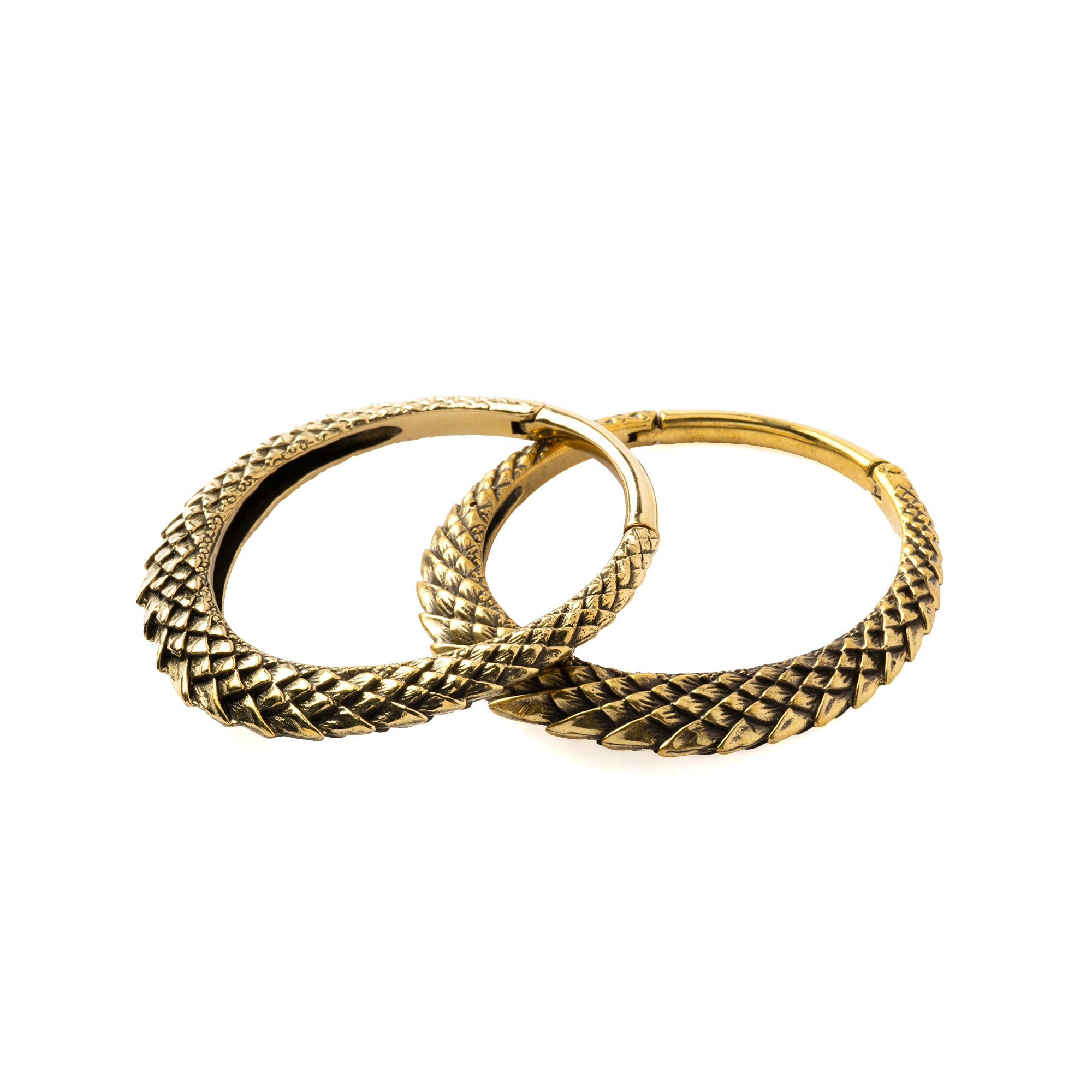 A pair of Dragon Scale Ear weights Clicker Ring