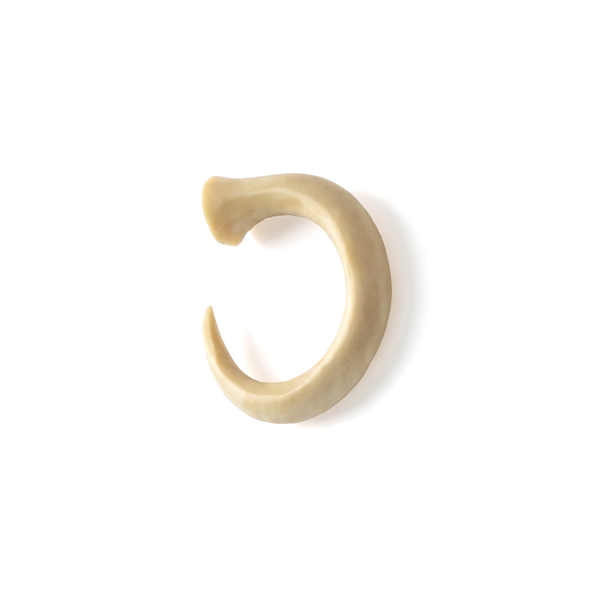 Mammoth Ivory Circular Hook