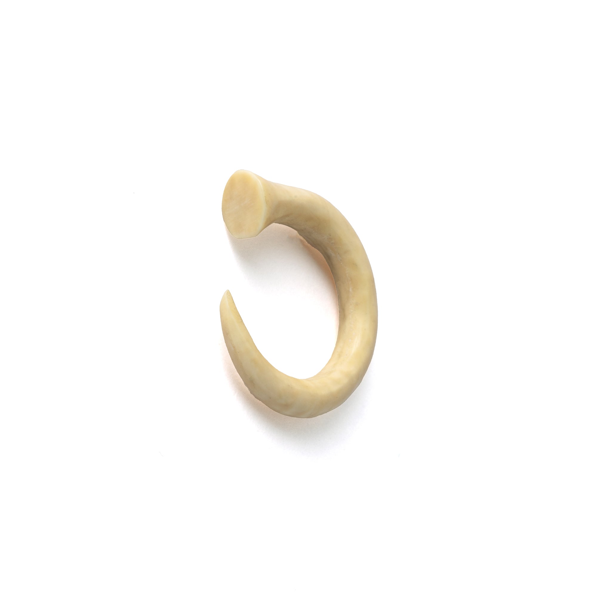 Mammoth Ivory Circular Hook