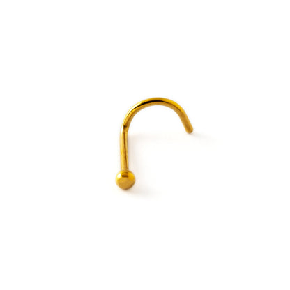 Dot Gold Nose Stud