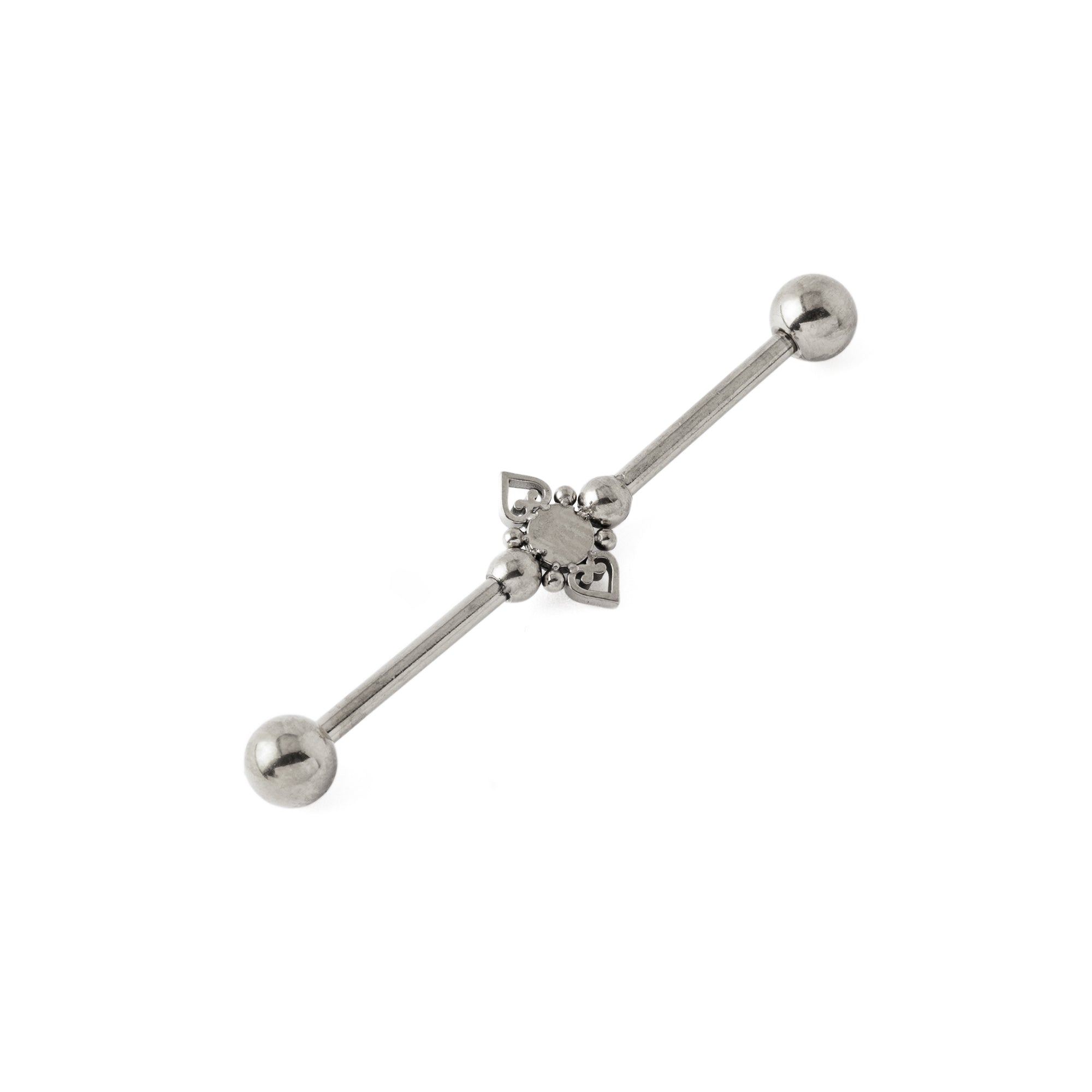 Neptune Industrial Barbell with Onyx back view