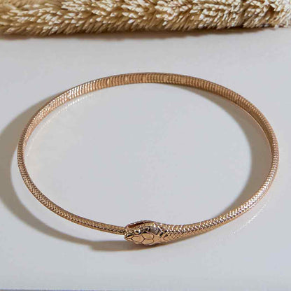 Ouroboros Bronze Bangle