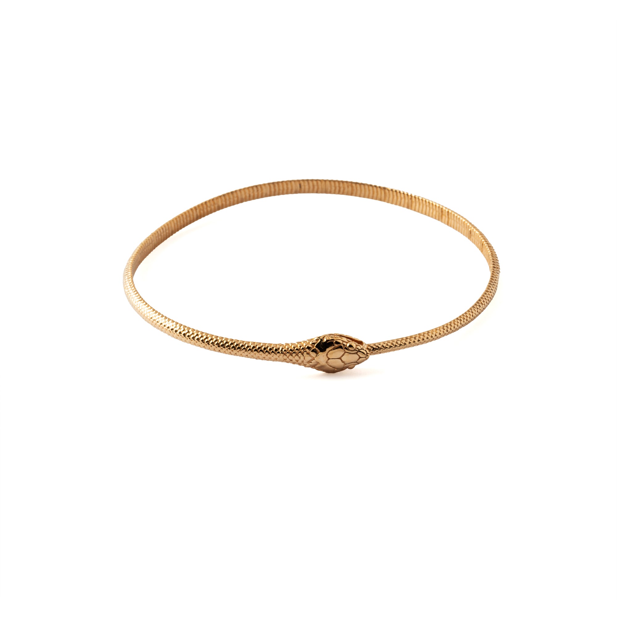 Ouroboros bronze bangle 
