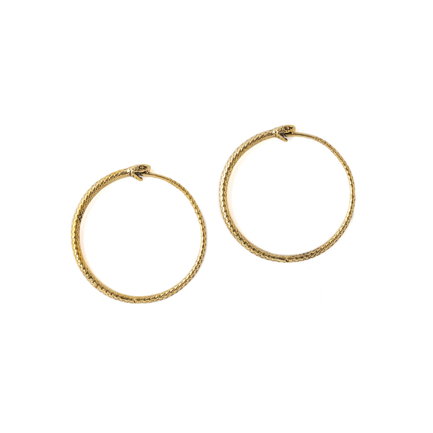 Ouroboros Hoop Earrings