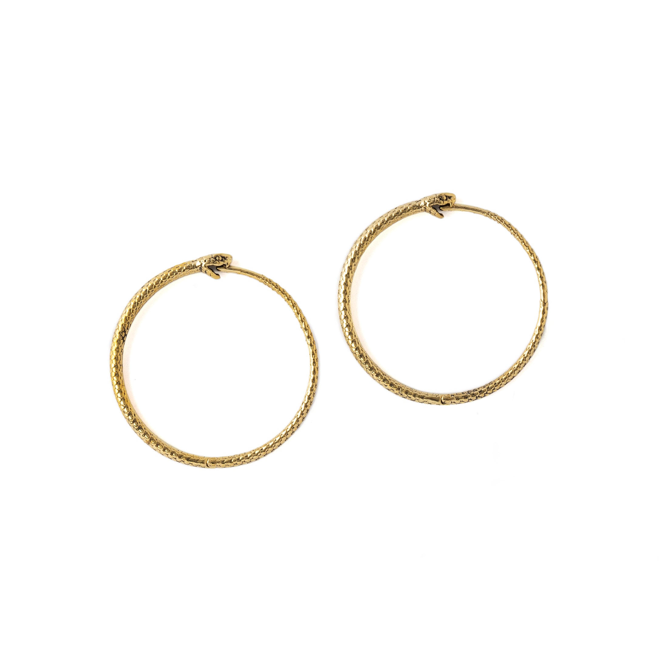 Ouroboros Hoop Earrings frontal view