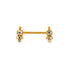 Rashmi Golden Nipple Bar