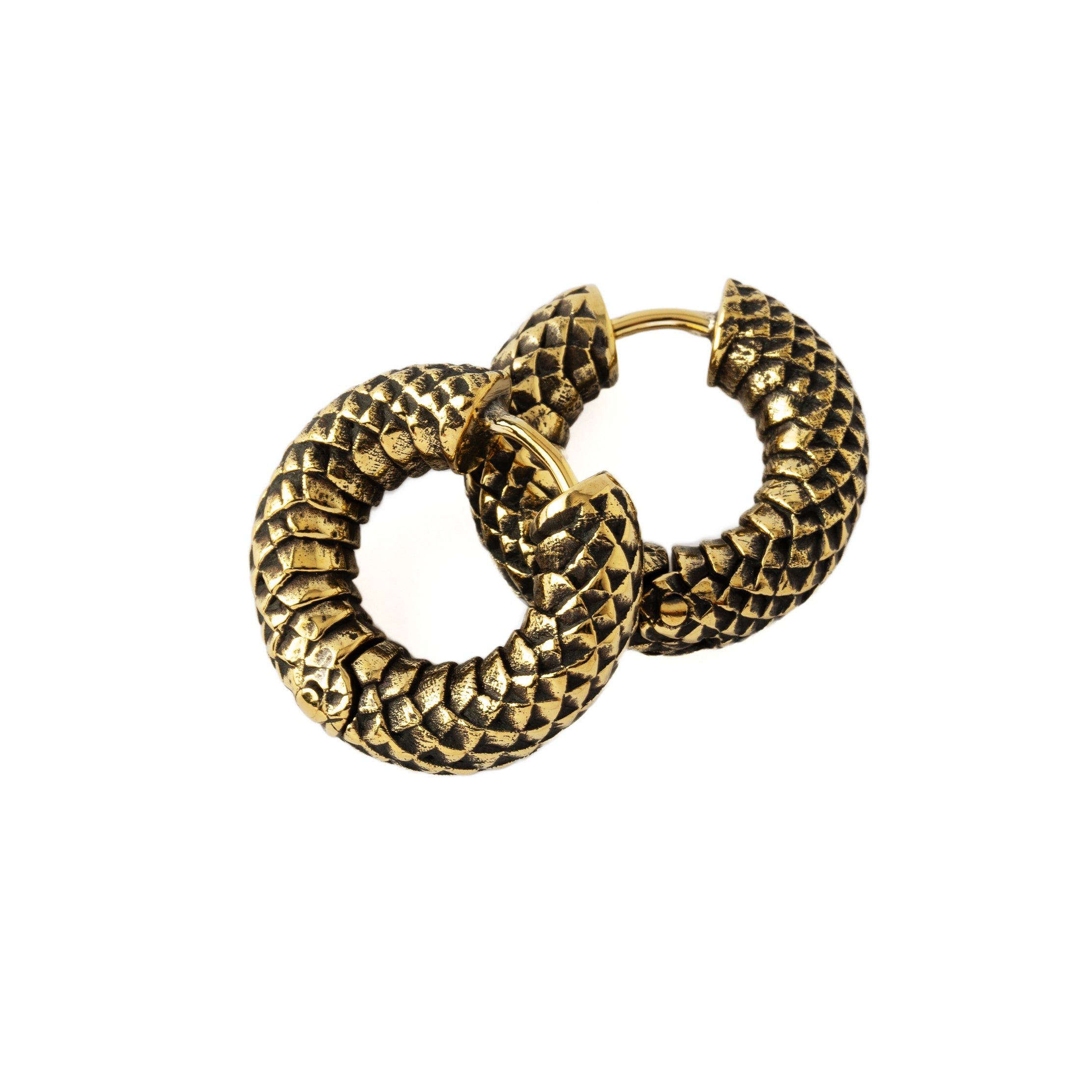 pair of Rebirth golden brass Clicker Earrings 