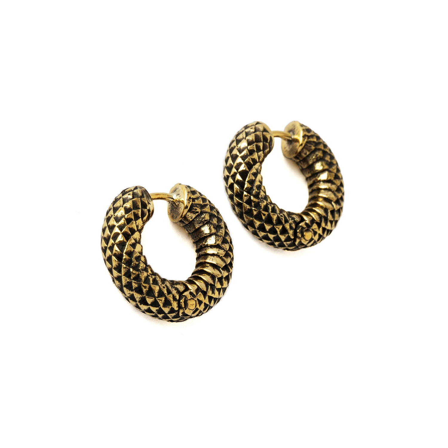 pair of Rebirth golden brass Clicker Earrings right side view