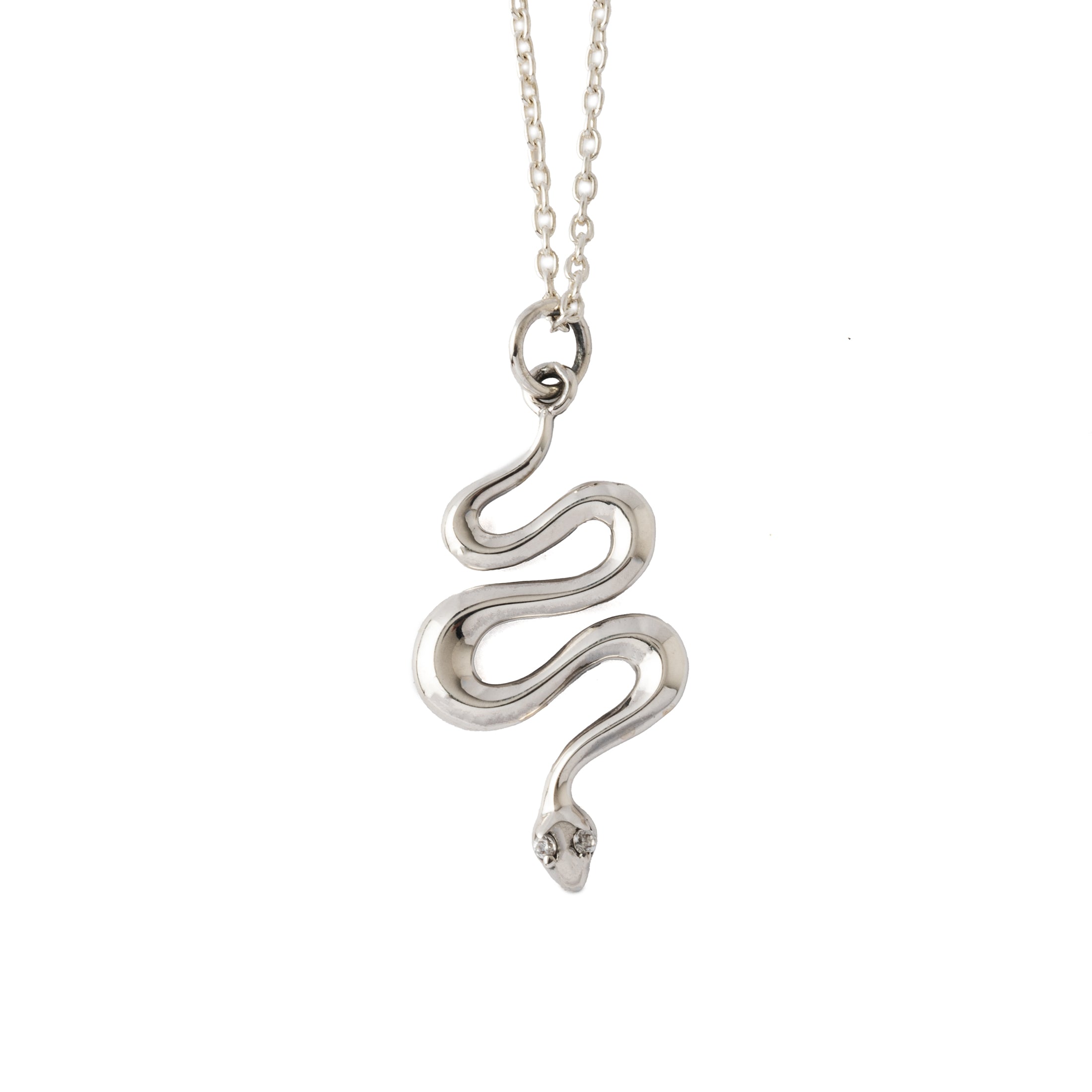 Serpent Charm Necklace frontal view