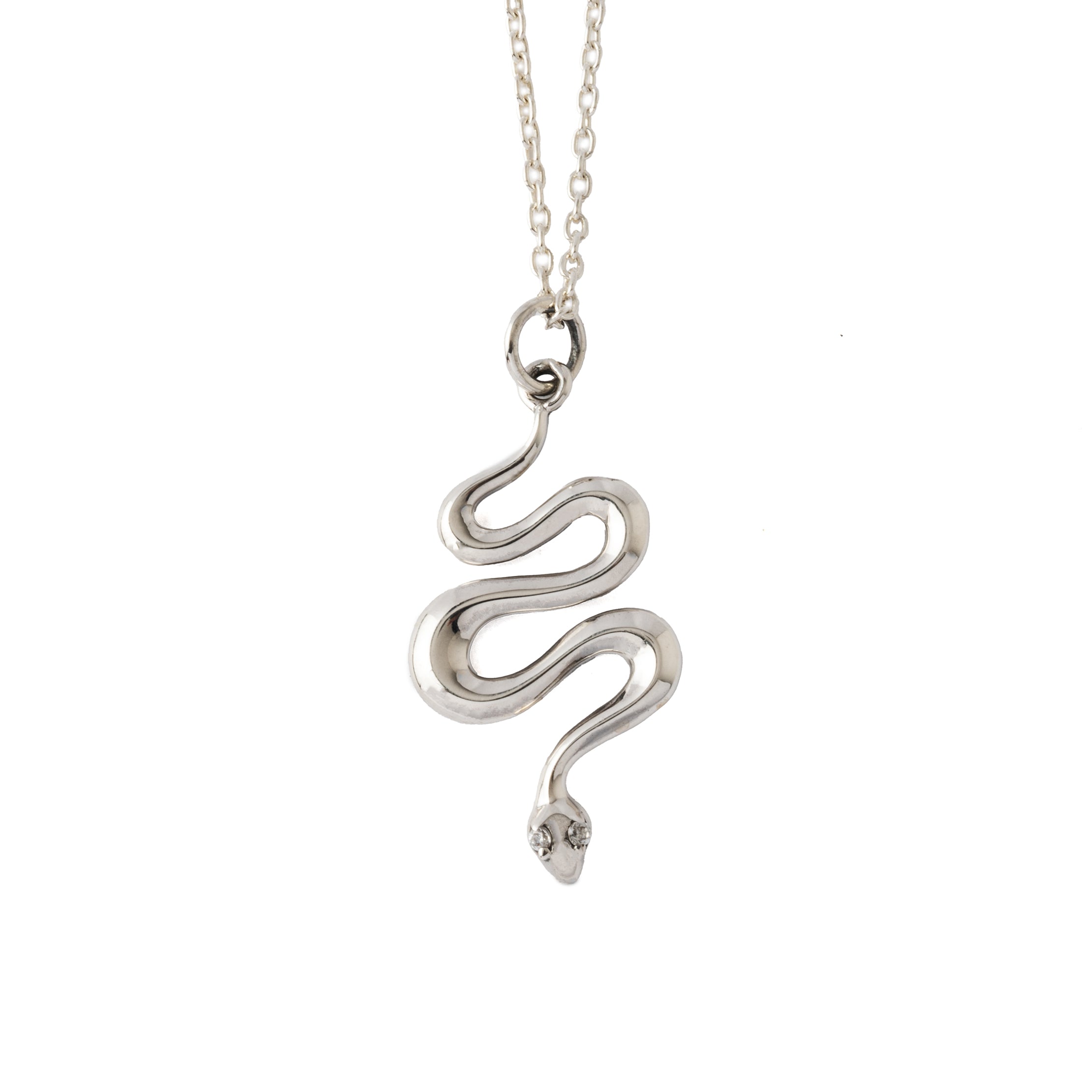 Serpent Charm Necklace frontal view
