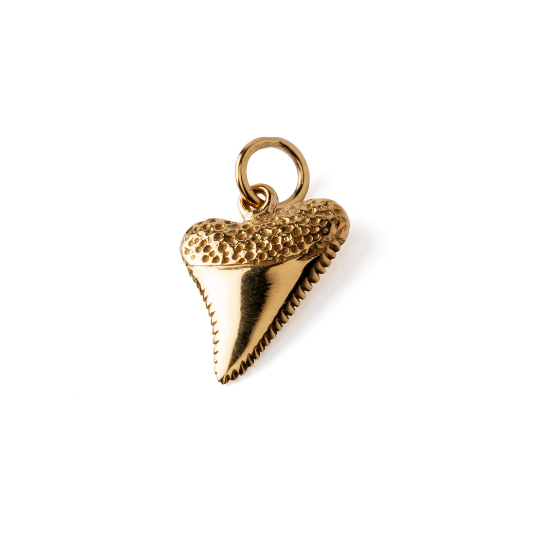 Shark Tooth Charm