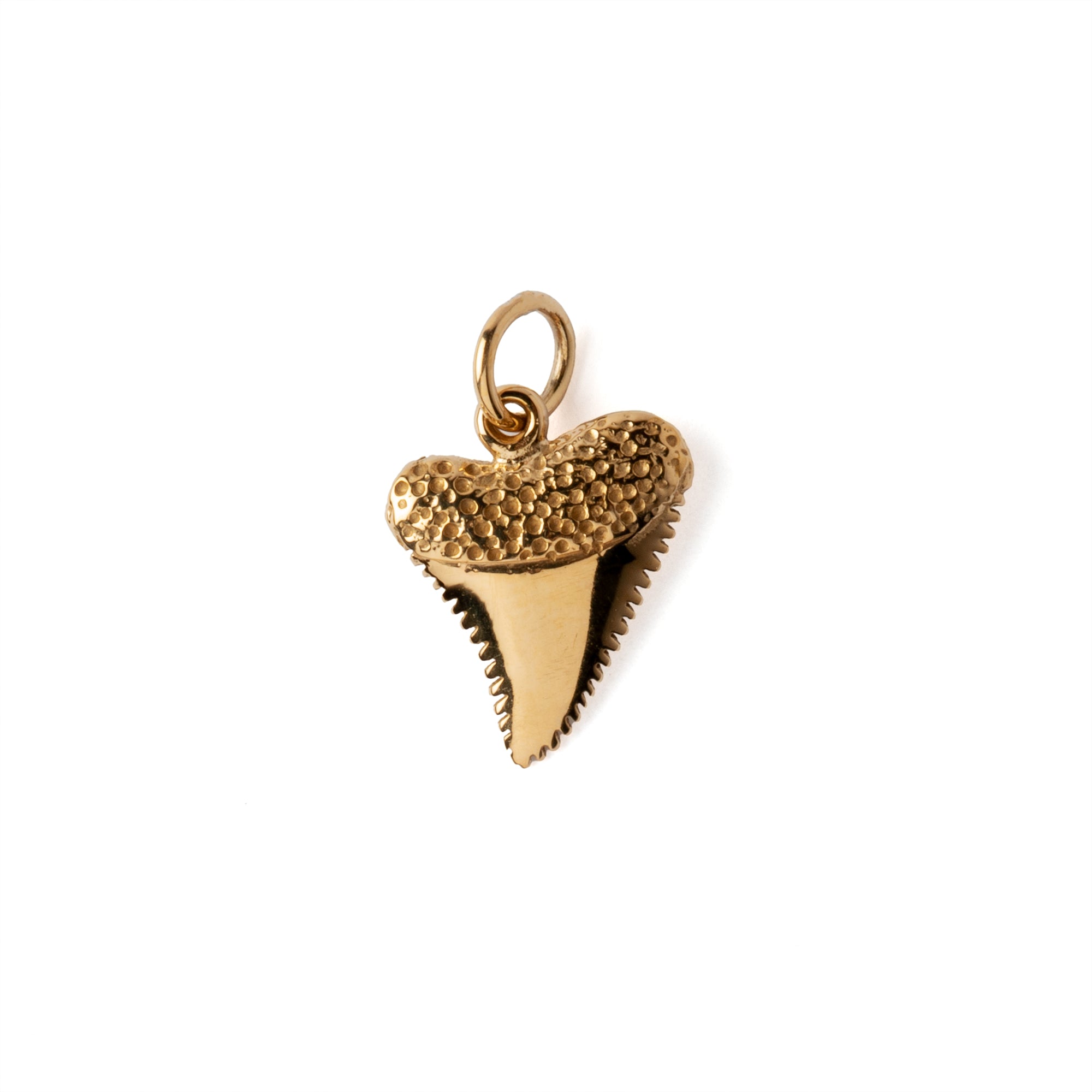Shark Tooth Charm