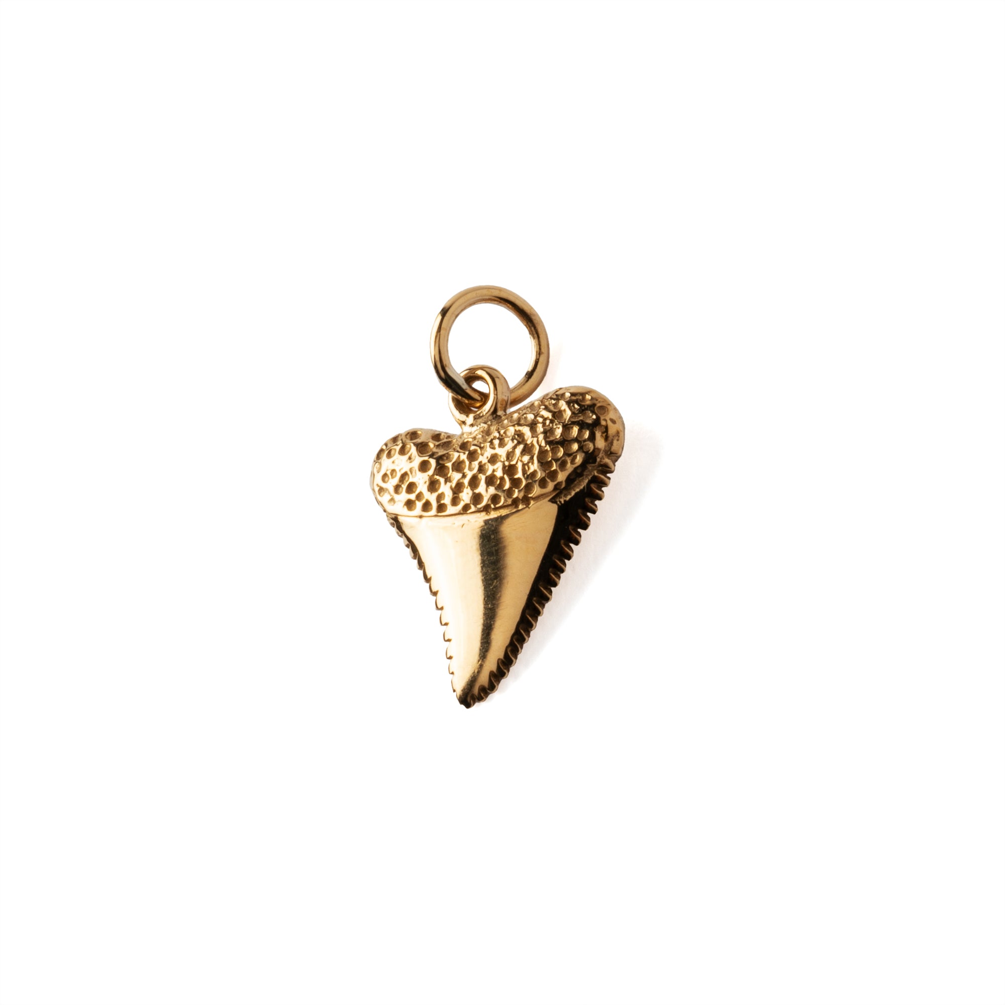 Shark Tooth Charm