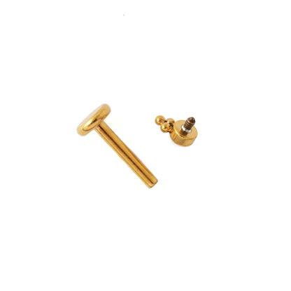 Siti Golden Labret with Onyx internally threaded closure view
