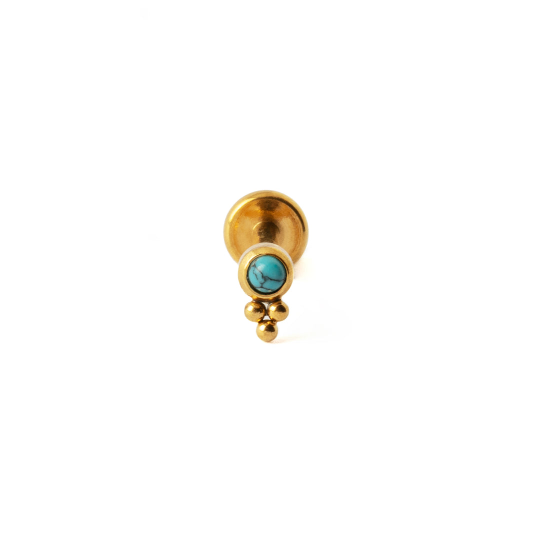 Siti Golden Labret with Turquoise frontal view