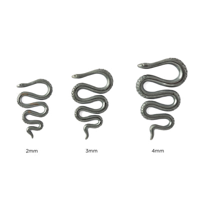 2mm, 3mm and 4mm Snake Black Silver Ear Hangers