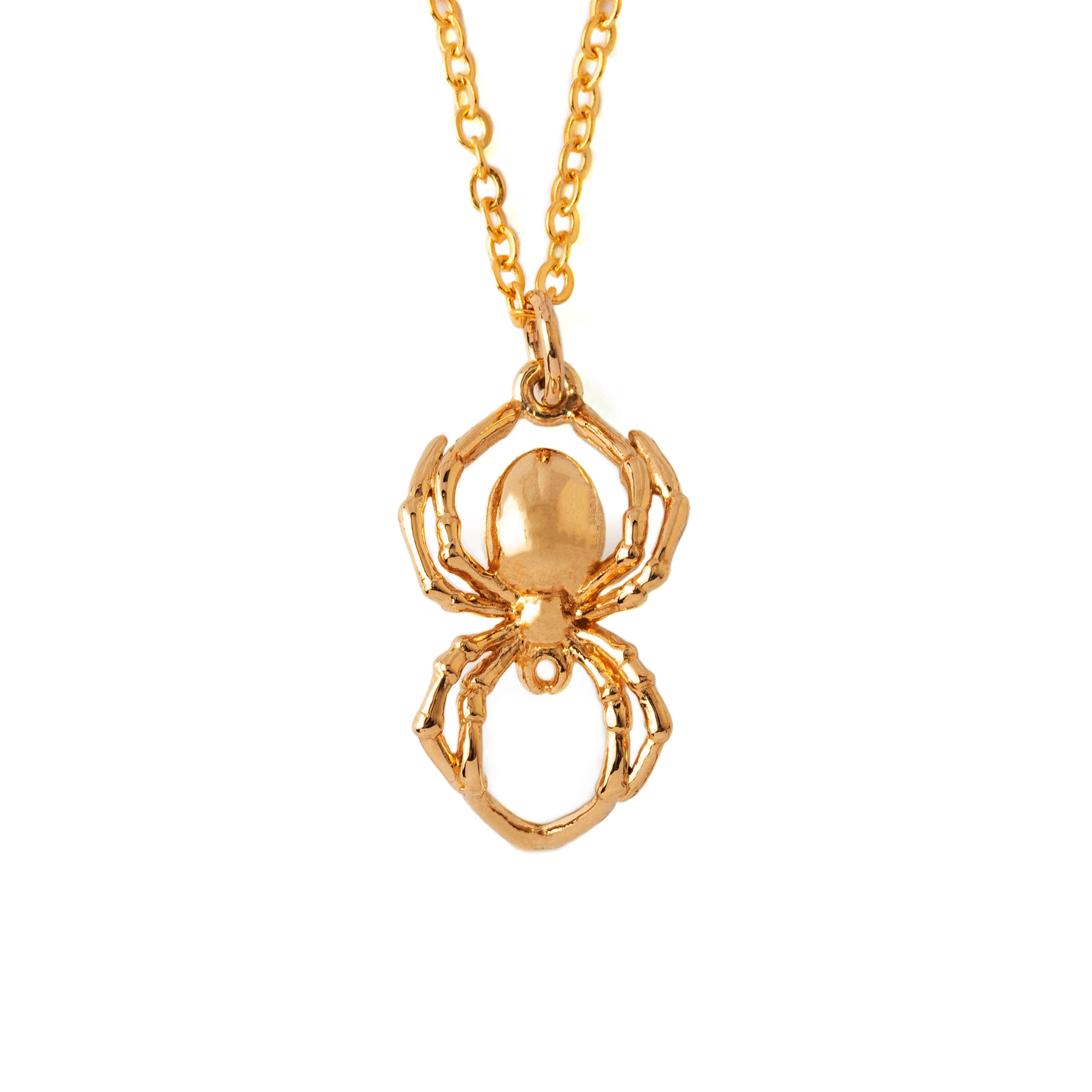 Spider Charm frontal view