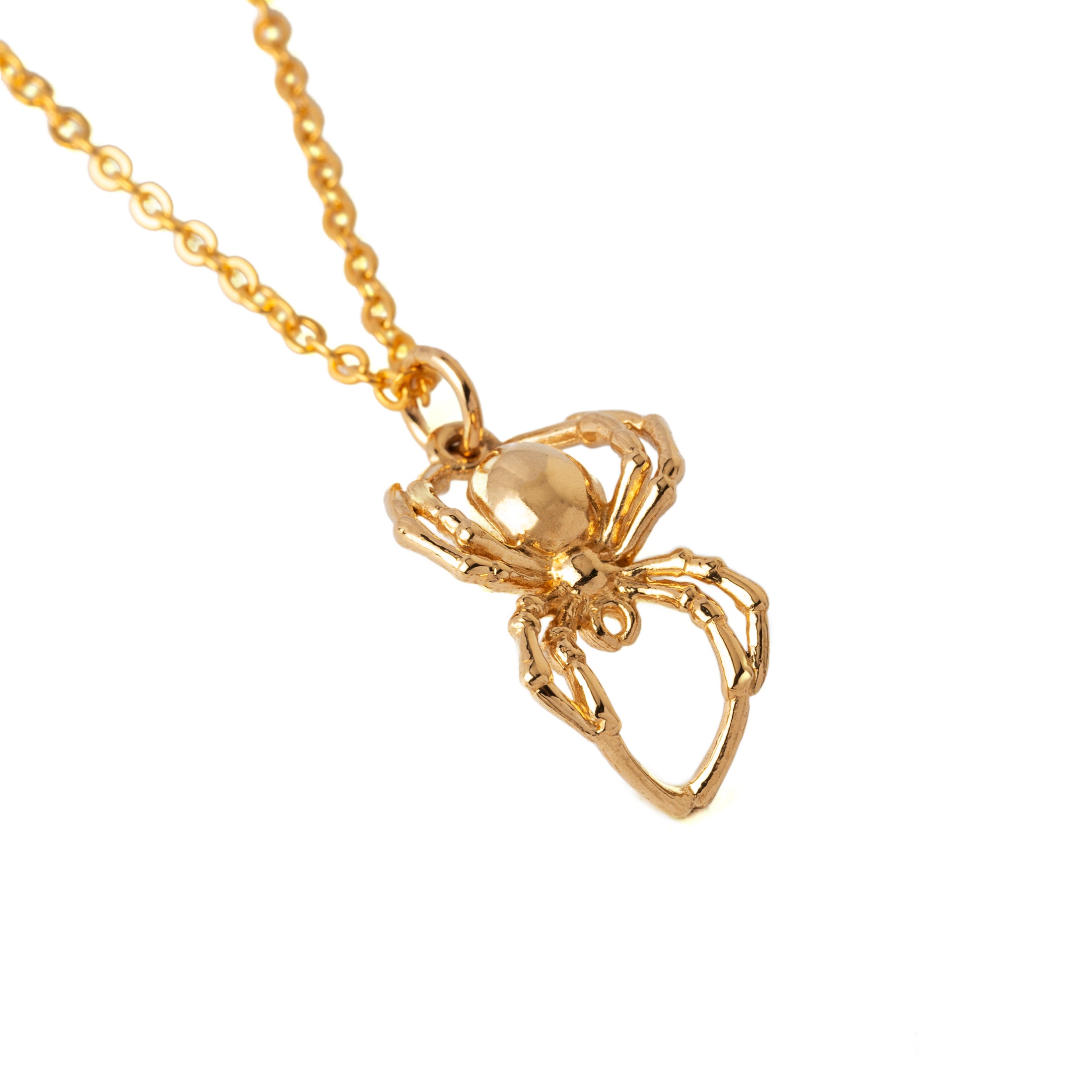 Spider Charm right side view