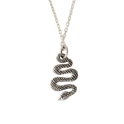 Tiny Snake Charm frontal view