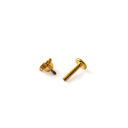 Venus Gold surgical steel internally threaded Labret open mode view