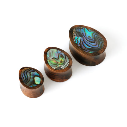 different sizes of ebony wood ear plugs teardrop shaped with abalone inlay