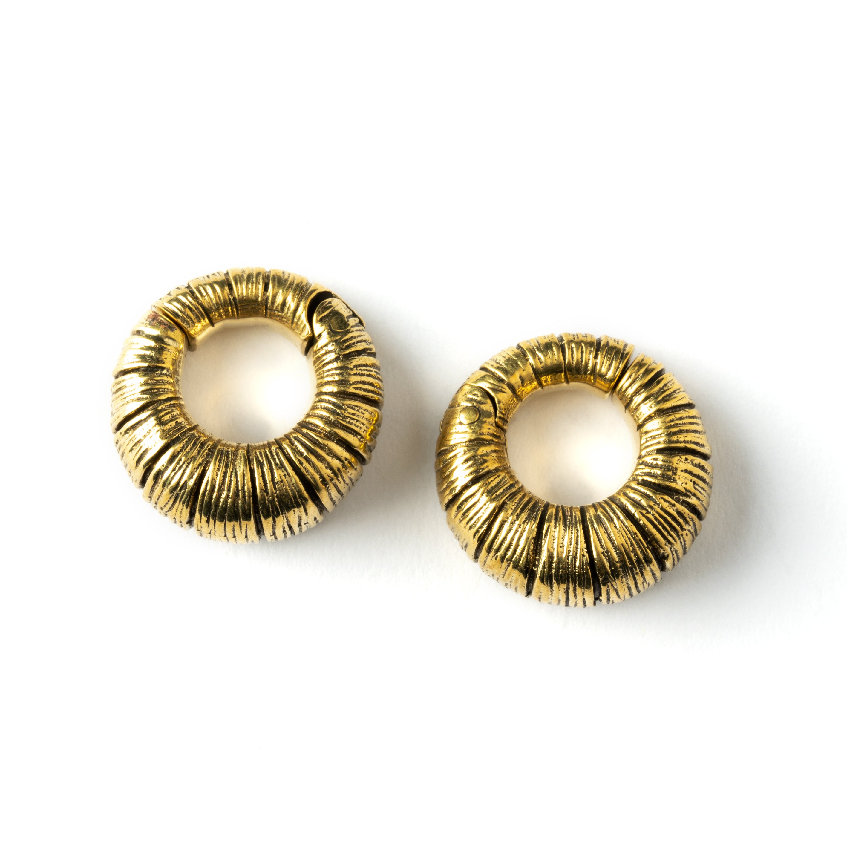 pair of Amara ear weights hoops clicker earrings frontal view