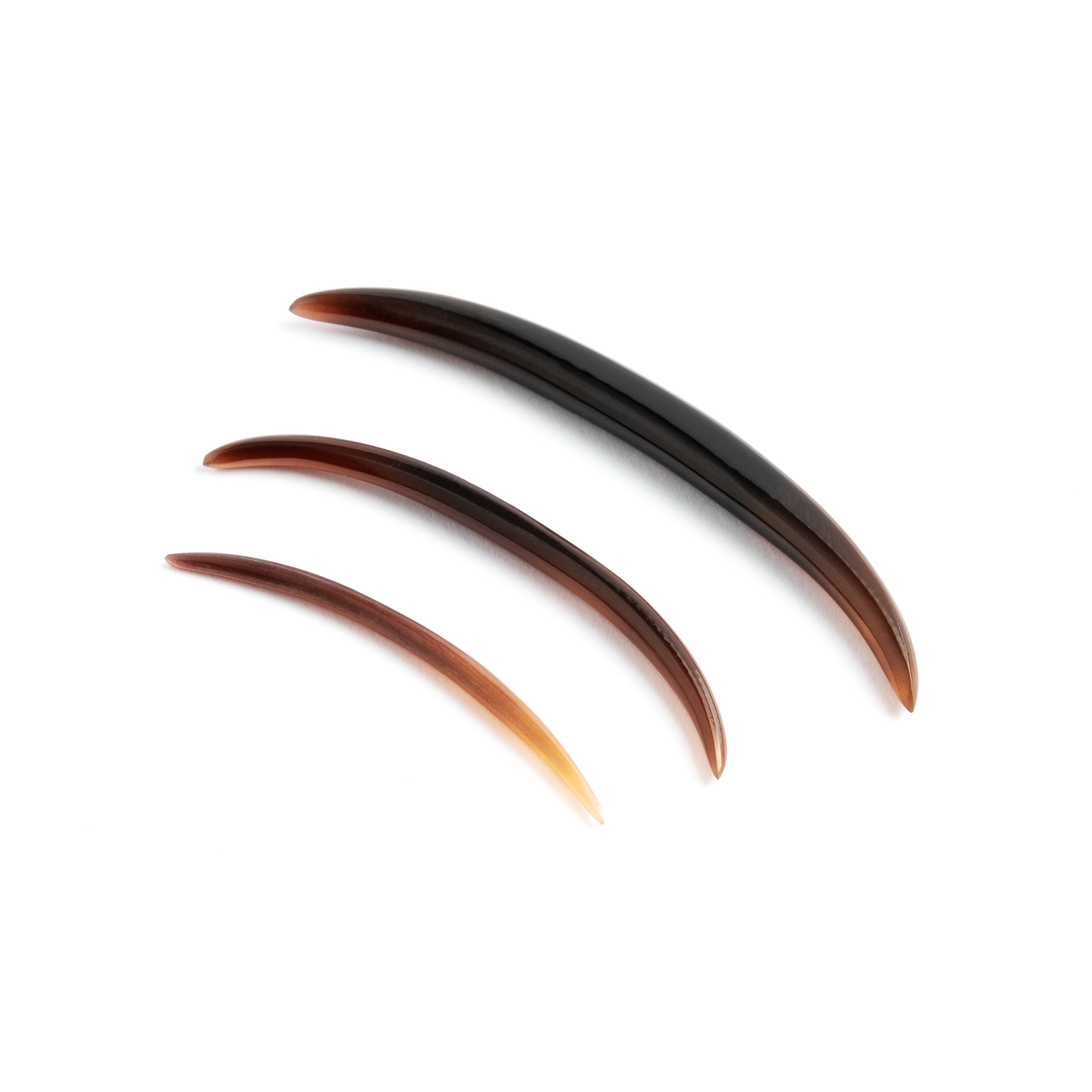 Black-Shell-Septum_3