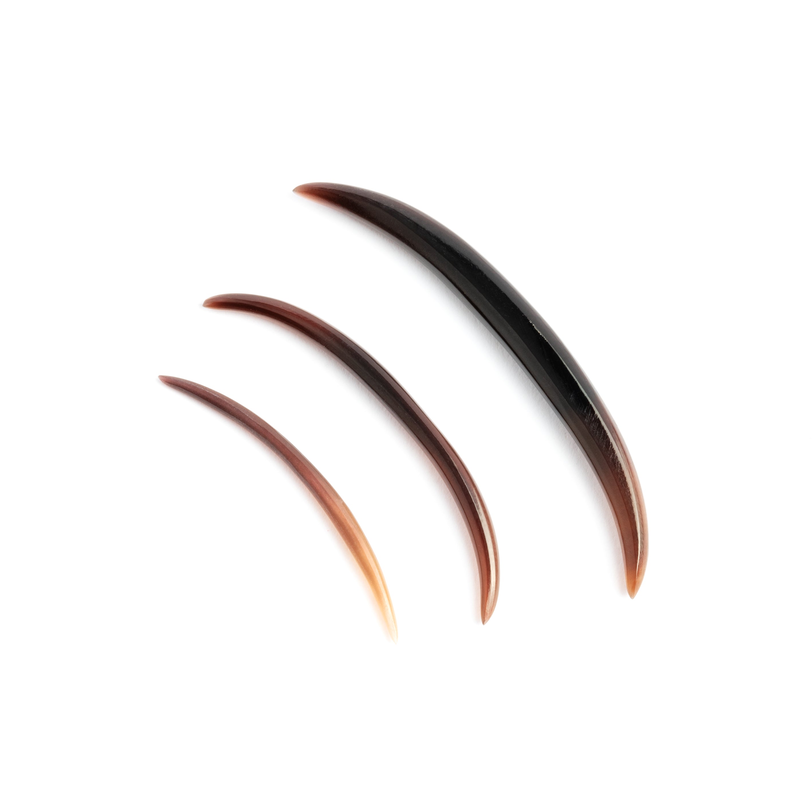 Black-Shell-Septum_4