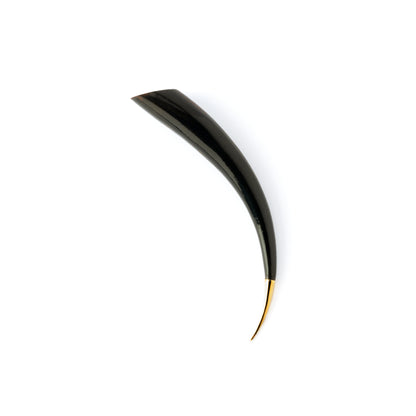 Black spike with golden tip ear stretcher side view