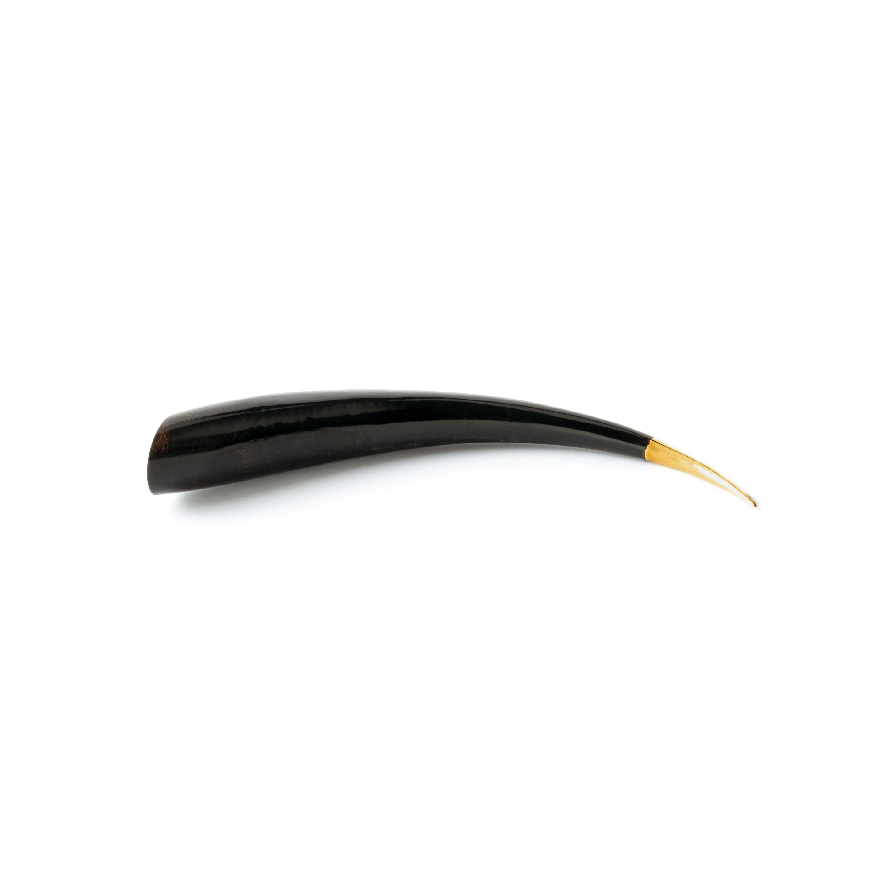 Black spike with golden tip ear stretcher front side view