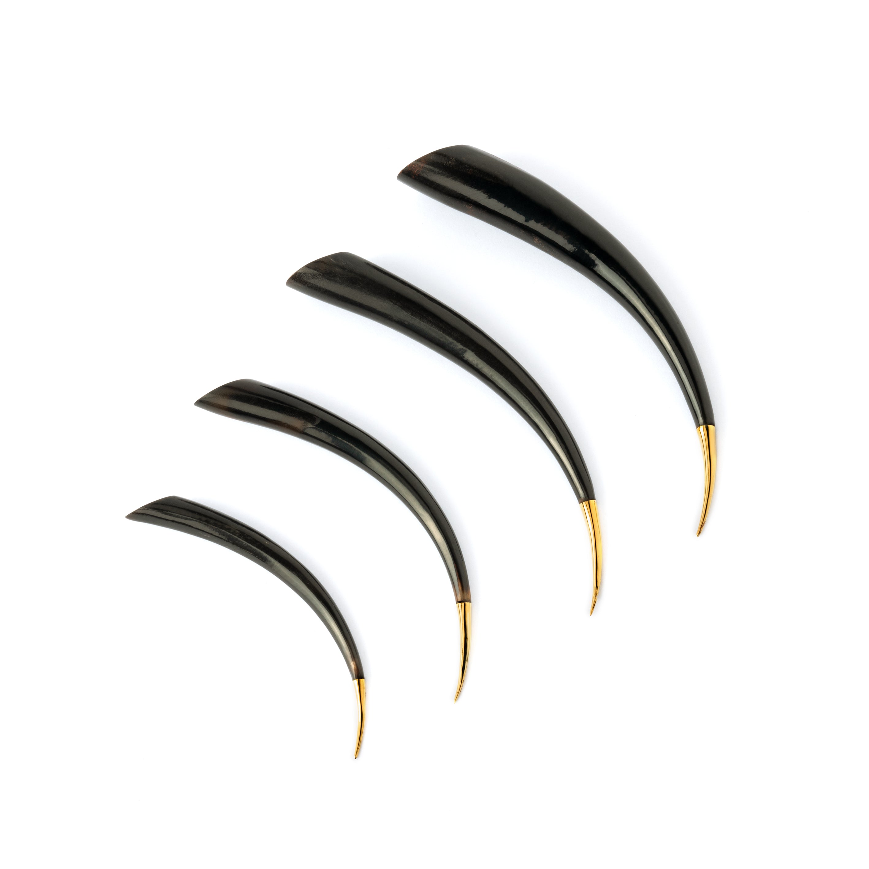 several sizes of Black spike with golden tip ear stretchers side view