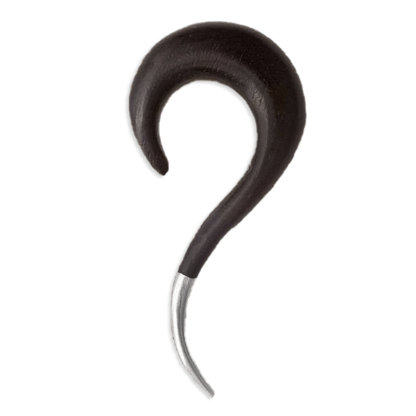Blackwood Curved Ear Stretcher with Silver Con