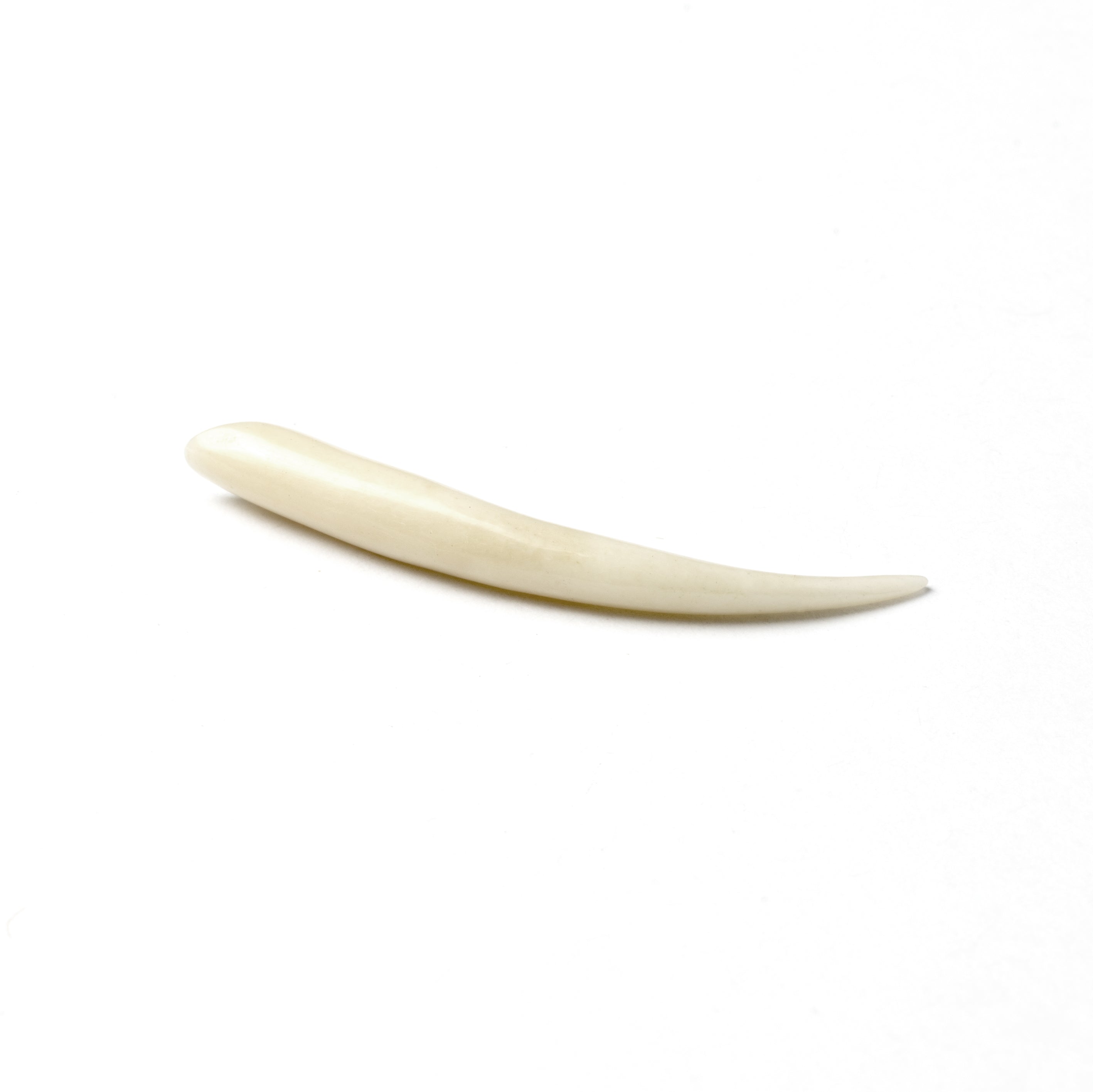 Bone Spike Ear Stretcher