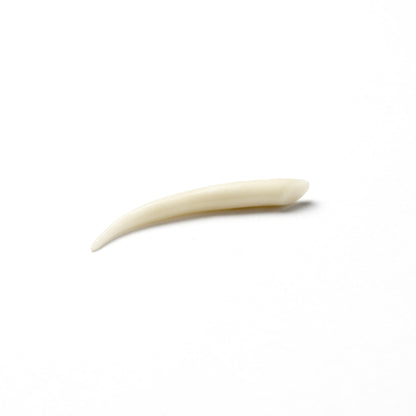 Extenseur osseux en forme de « dent »